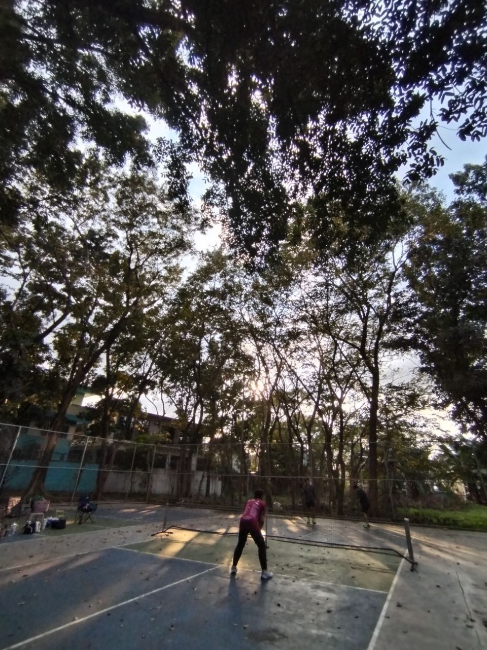 Tierra Pura 6 Pickleball Court